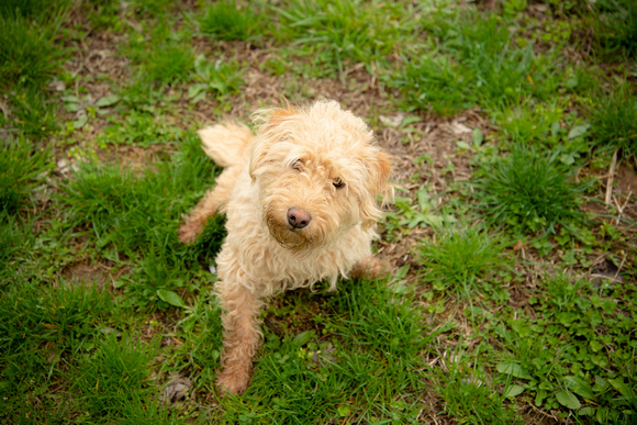 maddux_007a